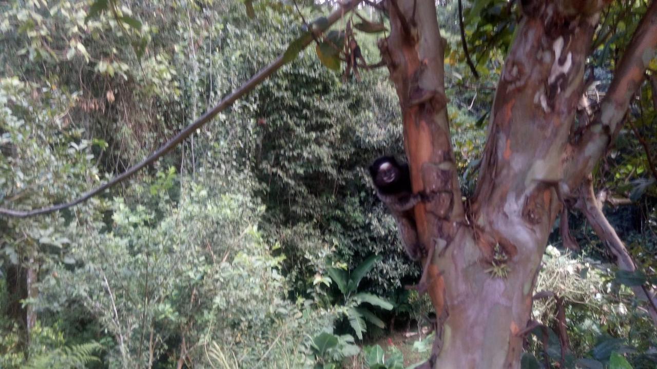 Chales Pouso Do Vale Visconde De Maua Luaran gambar
